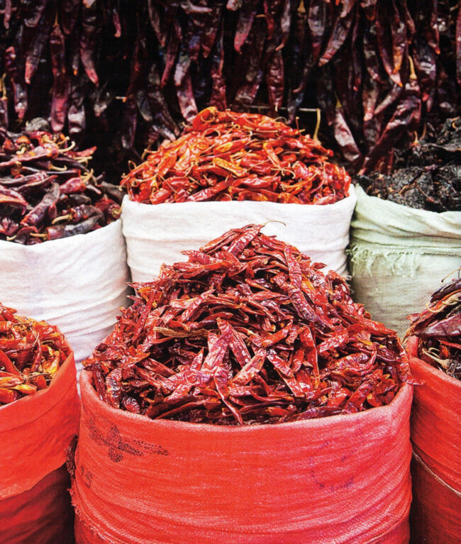 Travel Leisure chiles