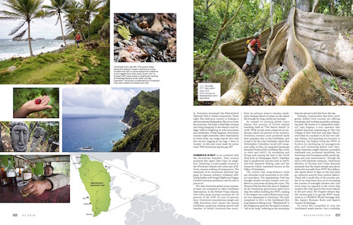 Dominica article