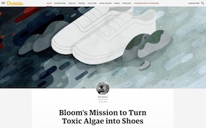 Bloom Shoes