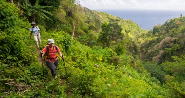 If You Build It, Will They Hike? Backpacker